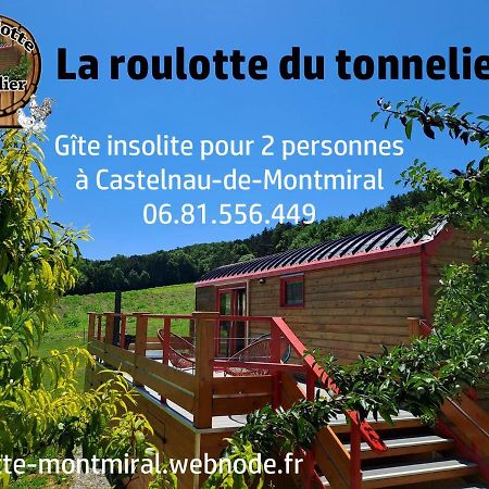 Вилла La Roulotte Du Tonnelier Castelnau-de-Montmiral Экстерьер фото